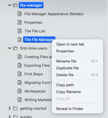 file_manager_context.png